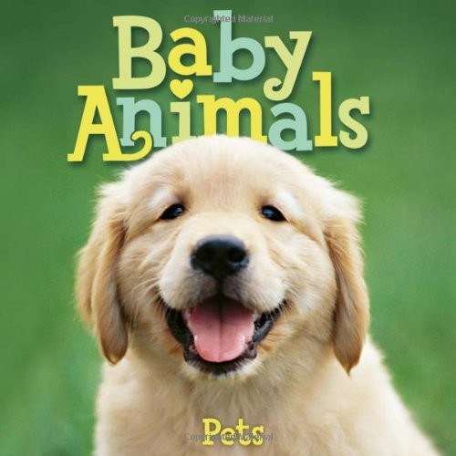 Baby Animals Pets by Editors of Kingfisher cover