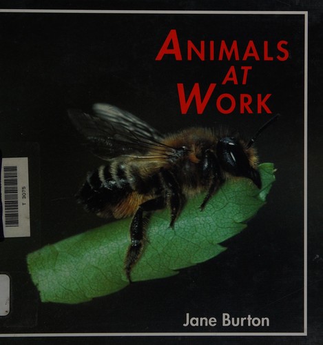Animals At Work, Burton 2-4l (Animal Ways) by Animal Ways    1 Of 4 cover