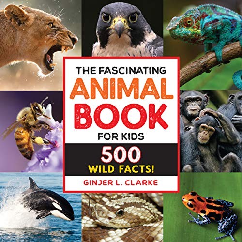 The Fascinating Animal Book for Kids by Ginjer Clarke cover