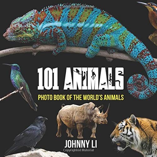 101 Animals