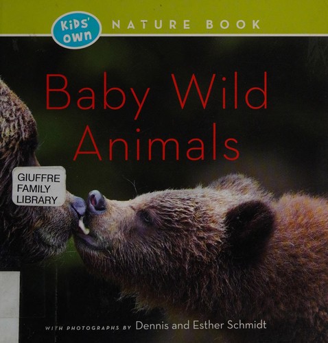 Baby Wild Animals