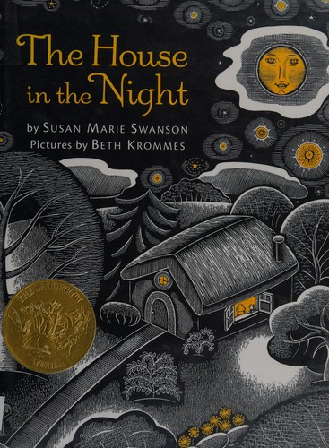 The house in the night