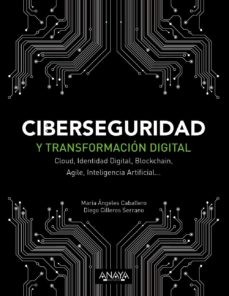 Ciberseguridad y transformación digital