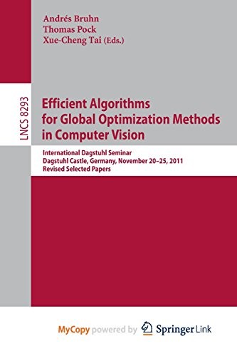 Efficient Algorithms for Global Optimization Methods in Computer Vision