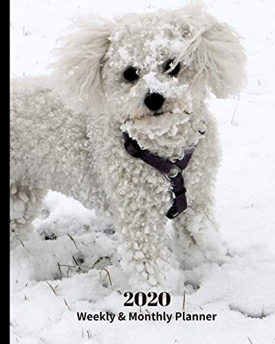 2020 Weekly and Monthly Planner