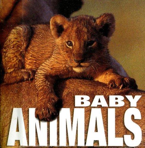 Baby Animals (MiniCube) by Angela Serena Ildos cover