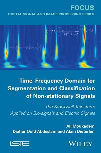 Time-Frequency Domain for Segmentation and Classification of Non-Stationary Signals
