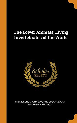 The Lower Animals; Living Invertebrates of the World by Lorus Johnson Milne, Ralph Morris Buchsbaum cover