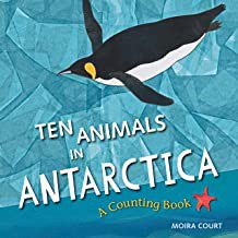 Ten Animals in Antarctica by Moira Court cover