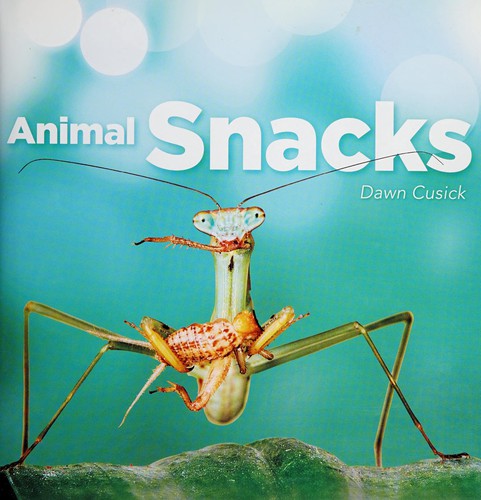 Animal Snacks