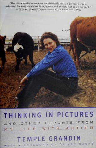 Thinking in Pictures
