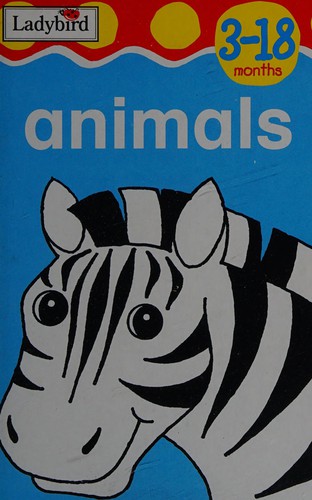 First focus by Anne Matthews cover