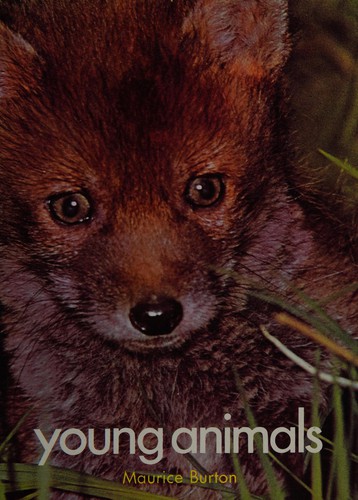 Young animals by Maurice Burton cover