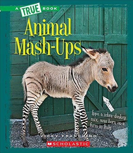 Animal Mash-Ups by Vicky Franchino cover