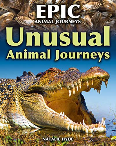 Unusual Animal Journeys by Natalie Hyde cover