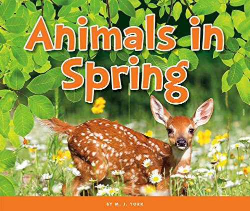 Animals in Spring by M J York cover