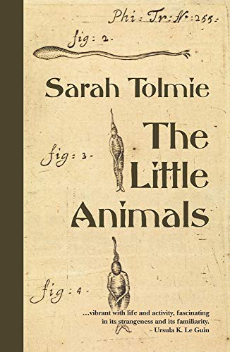 The Little Animals by Sarah Tolmie cover