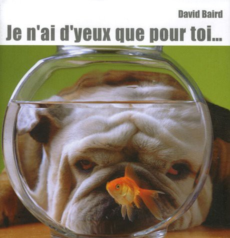 JE N'AI D'YEUX QUE POUR TOI