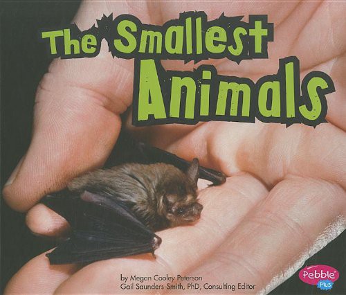 The Smallest Animals