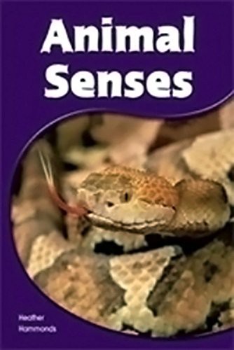 Animal Senses Animal Senses