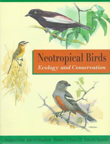 Neotropical birds