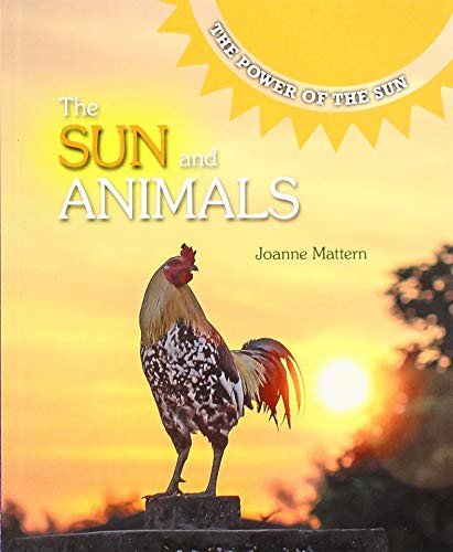 The Sun and Animals by Joanne Mattern cover