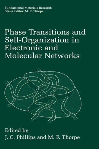 Phase Transitions and Self-Organization in Electronic and Molecular Networks (Fundamental Materials Research)