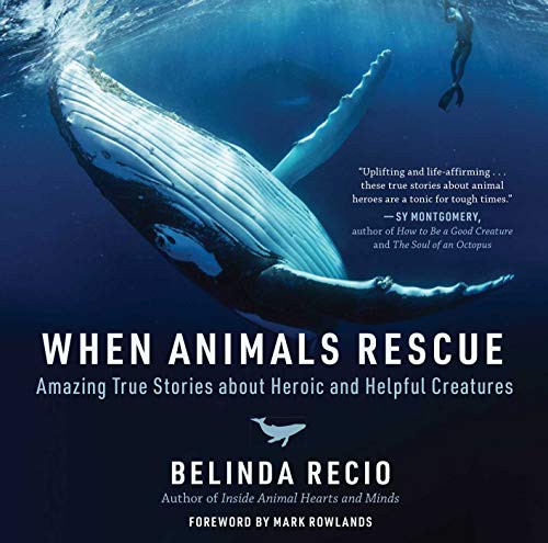 When Animals Rescue by Belinda Recio, Mark Rowlands cover