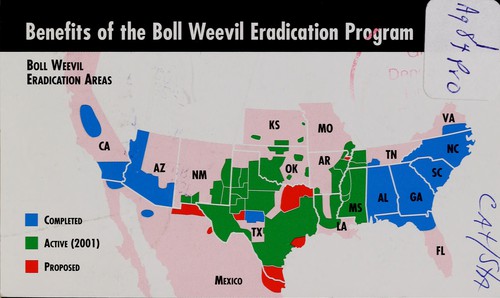 Benefits of the boll weevil eradication program