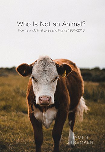 Who Is Not an Animal? by James Strecker cover