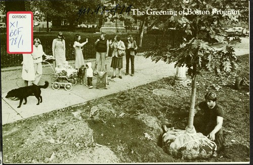 The greening of Boston program by Boston Foundation cover