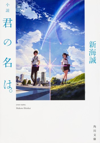 Shousetsu Kimi no Na Wa. by 新海誠 cover