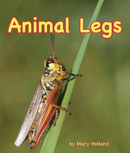 Animal Legs by Mary Holland cover