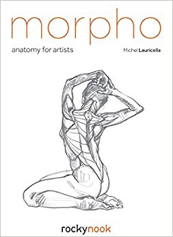Morpho : Anatomy for Artists