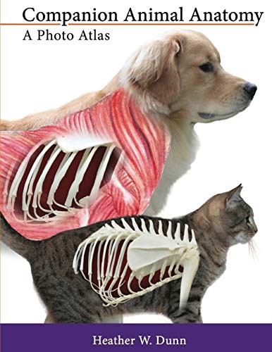 Companion Animal Anatomy by Heather W. Dunn cover