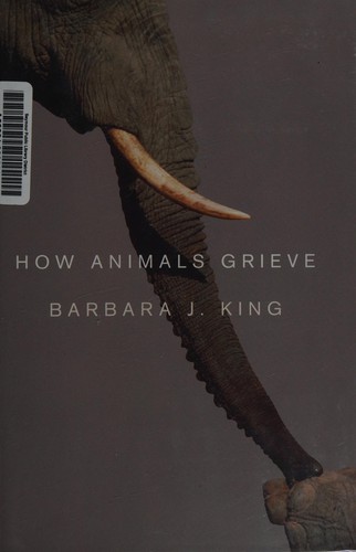 How animals grieve by Barbara J. King cover