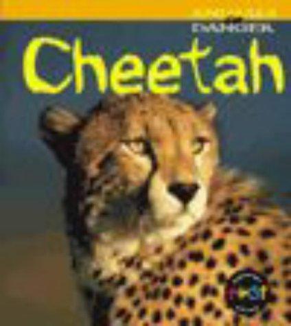 Cheetah (Animals in Danger) by Rod Theodorou cover