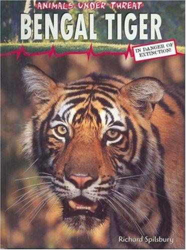 Bengal Tiger by Louise Splilsbury, Richard Splilsbury cover