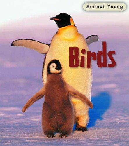 Birds (Animal Young) by Heinemann cover