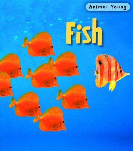 Fish (Animal Young)