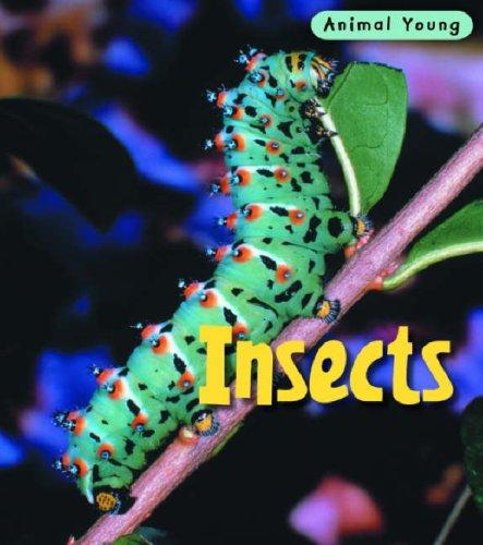 Insects (Animal Young) by Heinemann cover