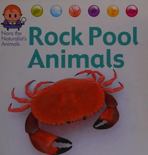 Rockpool Animals by David West cover
