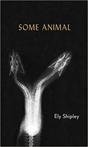 Some animal by Ely Shipley cover