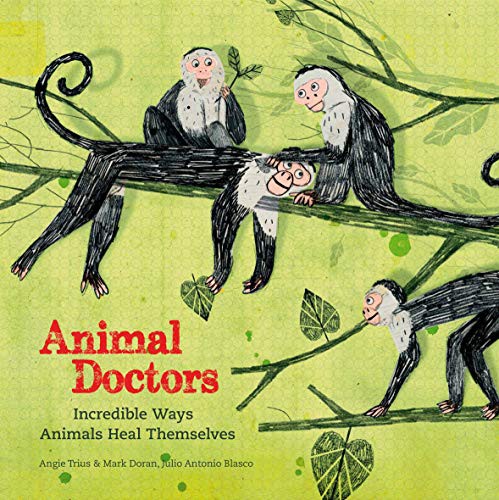 ANIMAL DOCTORS /ANGLAIS by Julio Antonio Blasco cover