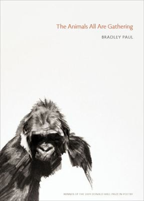 The animals all are gathering by Bradley Paul cover