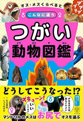 Illustrated Animal Book by Maruyama Takashi cover