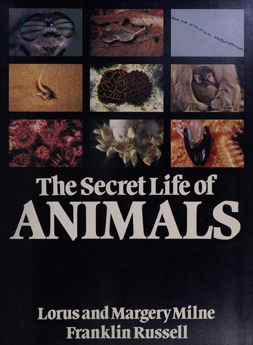 The secret life of animals by Lorus Johnson Milne cover