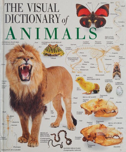 The visual dictionary of animals by Ruth Midgley cover
