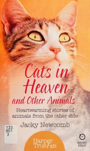 Cats in Heaven