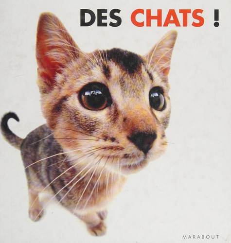 Des chats!